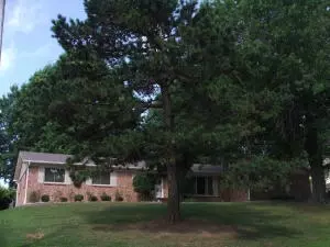 1214 Speer Dr, Harrison, AR 72601 photo 26