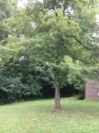 710 E Lee St, Harrison, AR 72601 photo 30