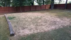 3989 Johnson Dr, Harrison, AR 72601 photo 34
