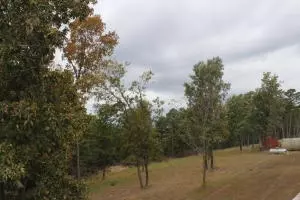 1637 W Grassy Gap Rd, Harrison, AR 72601 photo 34