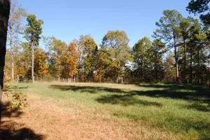 213 Scenic Dr, Marshall, AR 72650 photo 48