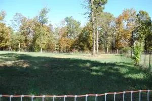 213 Scenic Dr, Marshall, AR 72650 photo 50