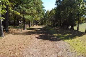 213 Scenic Dr, Marshall, AR 72650 photo 55