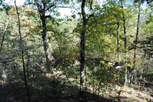 213 Scenic Dr, Marshall, AR 72650 photo 37