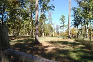 213 Scenic Dr, Marshall, AR 72650 photo 54