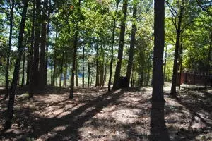 213 Scenic Dr, Marshall, AR 72650 photo 43
