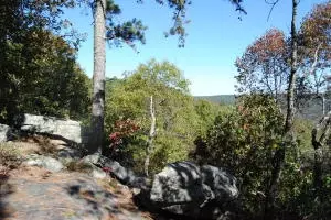 213 Scenic Dr, Marshall, AR 72650 photo 41