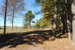 213 Scenic Dr, Marshall, AR 72650 photo 56