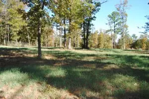 213 Scenic Dr, Marshall, AR 72650 photo 59