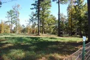 213 Scenic Dr, Marshall, AR 72650 photo 58