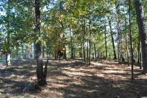 213 Scenic Dr, Marshall, AR 72650 photo 44