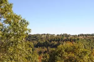 213 Scenic Dr, Marshall, AR 72650 photo 32