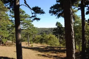 213 Scenic Dr, Marshall, AR 72650 photo 5