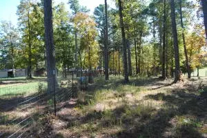 213 Scenic Dr, Marshall, AR 72650 photo 57