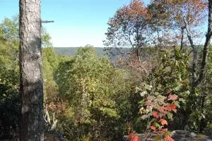 213 Scenic Dr, Marshall, AR 72650 photo 40