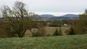 3019 Herb Terry Rd, Harrison, AR 72601 photo 29