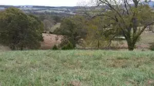 3019 Herb Terry Rd, Harrison, AR 72601 photo 26