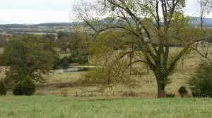 3019 Herb Terry Rd, Harrison, AR 72601 photo 22