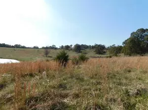 3019 Herb Terry Rd, Harrison, AR 72601 photo 28