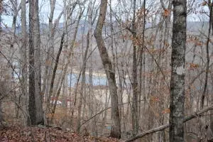 341 341wright Ln Clinton Ar 72031, AR photo 18