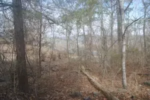 341 341wright Ln Clinton Ar 72031, AR photo 10