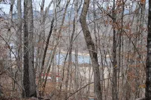 341 341wright Ln Clinton Ar 72031, AR photo 20