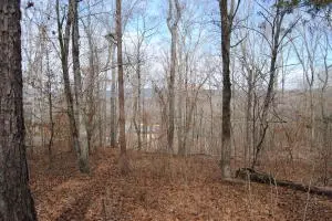 341 341wright Ln Clinton Ar 72031, AR photo 16