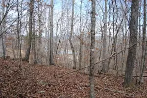 341 341wright Ln Clinton Ar 72031, AR photo 17