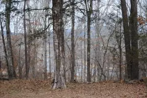 341 341wright Ln Clinton Ar 72031, AR photo 25