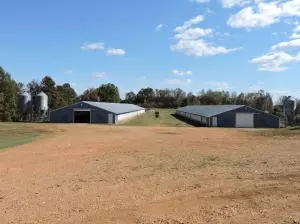 10176 Indian Tree Ln, Harrison, AR 72601 photo 1