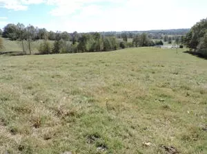 10176 Indian Tree Ln, Harrison, AR 72601 photo 6