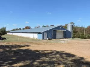 10176 Indian Tree Ln, Harrison, AR 72601 photo 9