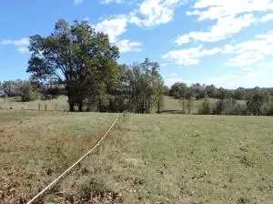 10176 Indian Tree Ln, Harrison, AR 72601 photo 3