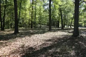 1494 Wolf Springs Rd, Harrison, AR 72601 photo 1