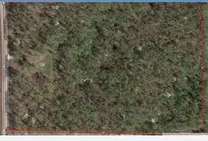 1494 Wolf Springs Rd, Harrison, AR 72601 photo 11