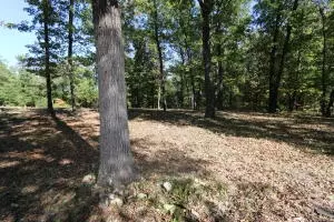 1494 Wolf Springs Rd, Harrison, AR 72601 photo 6