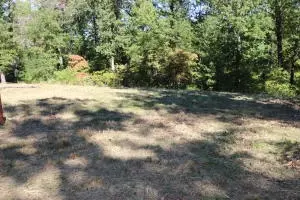 1494 Wolf Springs Rd, Harrison, AR 72601 photo 3