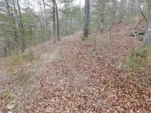 1685 W May Ln, Harrison, AR 72601 photo 36