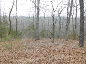 1685 W May Ln, Harrison, AR 72601 photo 35