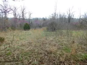 1685 W May Ln, Harrison, AR 72601 photo 34