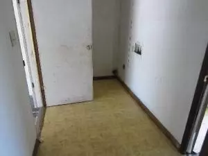 202 Cardinal, Harrison, AR 72601 photo 11