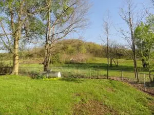 108 E Hwy 74, Marshall, AR 72650 photo 8