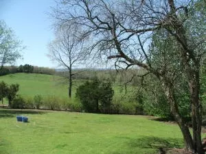 3401 Wingate Dr, Harrison, AR 72601 photo 50