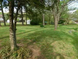 802 W Holt St, Harrison, AR 72601 photo 31