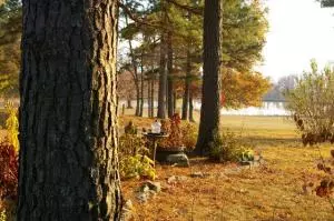 516 Thunder Ln, Marshall, AR 72650 photo 38