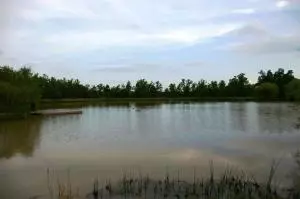 516 Thunder Ln, Marshall, AR 72650 photo 72