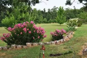 516 Thunder Ln, Marshall, AR 72650 photo 75
