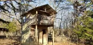 516 Thunder Ln, Marshall, AR 72650 photo 45