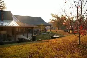516 Thunder Ln, Marshall, AR 72650 photo 31