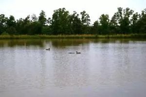 516 Thunder Ln, Marshall, AR 72650 photo 73